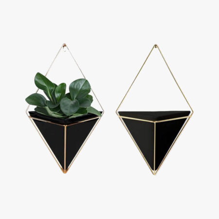 Planter for wall
